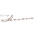 Vintage Havana Discount Code